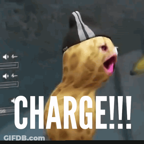 Close Up Of Cat Face Muua GIF