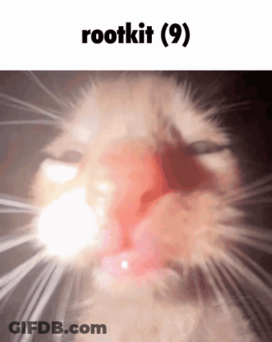Close Up Of Cat Face Rootkit Caption GIF