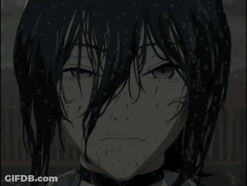 Close Up Of Cat Face With Blurred Background GIF