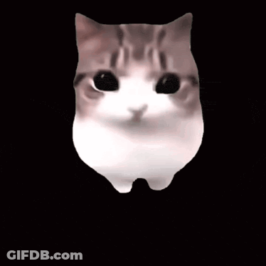 Close Up Of Cat Face With Pink Blush GIF