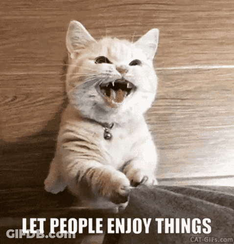 Close Up Of Cat Looking At Camera GIF