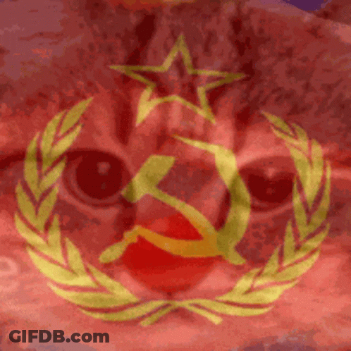 Close Up Of Cat's Face With Hammer And Sickle On Red Background GIF