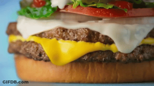 Close Up Of Cheeseburger On Bun GIF