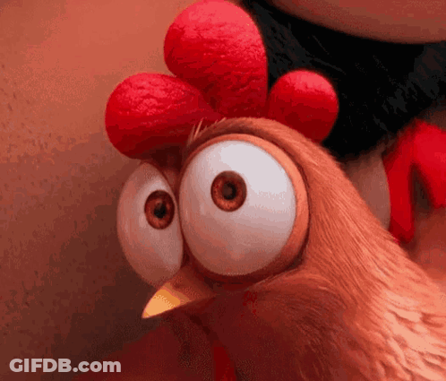 Close Up Of Chicken With Big Eyes And Red Crest GIF