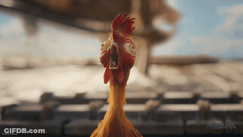 Close Up Of Chicken With Disney Logo GIF