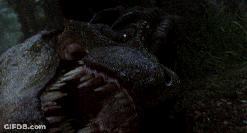 Close Up Of Dinosaur Eye GIF