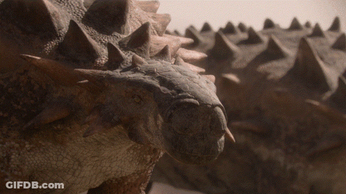 Close Up Of Dinosaur Head With Spikes GIF