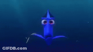 Close Up Of Dory's Eyes GIF