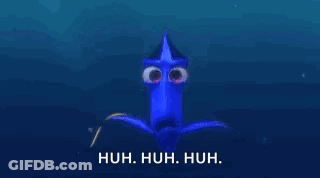 Close Up Of Dory's Eyes GIF