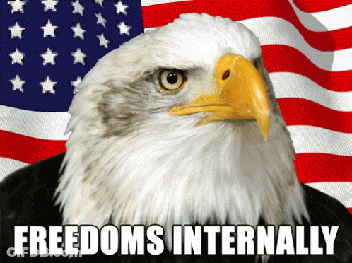 Close Up Of Eagle Face Open Mouth Yellow Eyes GIF