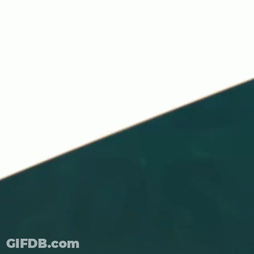 Close Up Of Eagle Head With Blue Background GIF