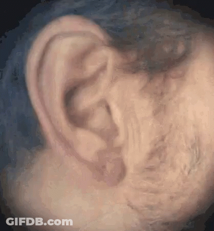 Close Up Of Ear Against Blue Background GIF
