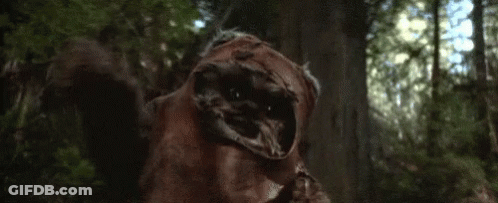 Close Up Of Ewok In Woods GIF