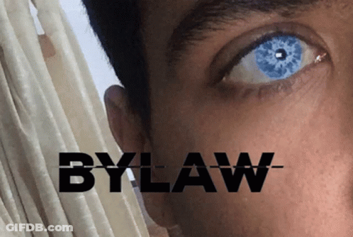 Close Up Of Eye With Bylaw GIF