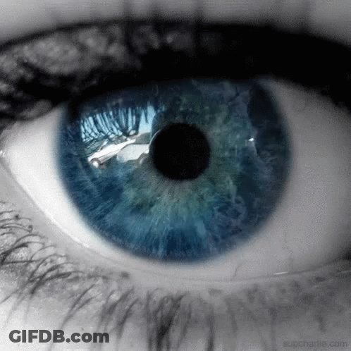 Close Up Of Eye With Supcharlie.com GIF