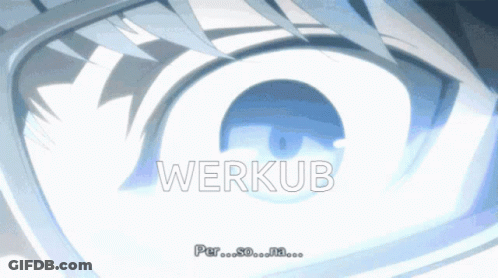 Close Up Of Eye With Werkub GIF