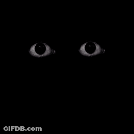 Close Up Of Eyes In Darkness GIF