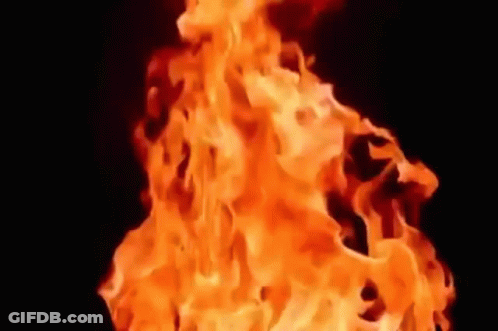 Close Up Of Fire GIF