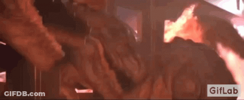 Close Up Of Fire With GIFLab Logo GIF