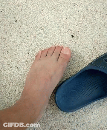 Close Up Of Foot With Blue Sandals GIF