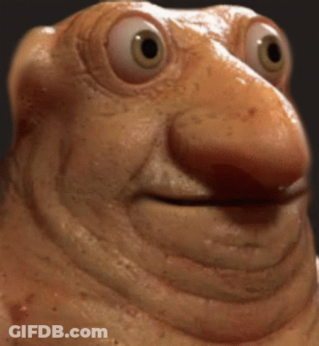 Close Up Of Frog Face With Big Eyes GIF