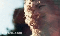 Close Up Of Furry Animal Face With Blurry Background GIF