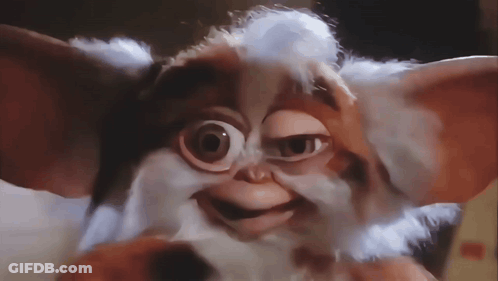 Close Up Of Gizmo From Gremlins GIF