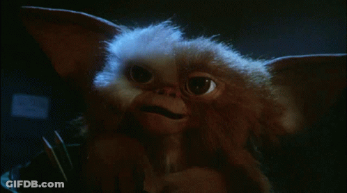 Close Up Of Gizmo From Gremlins GIF