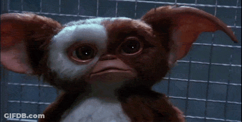 Close Up Of Gizmo From Gremlins GIF