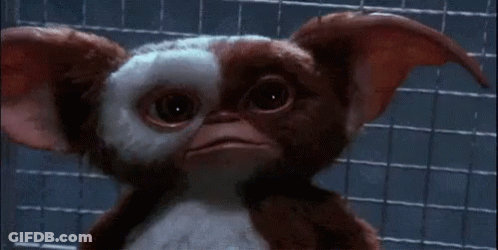 Close Up Of Gizmo From Gremlins GIF
