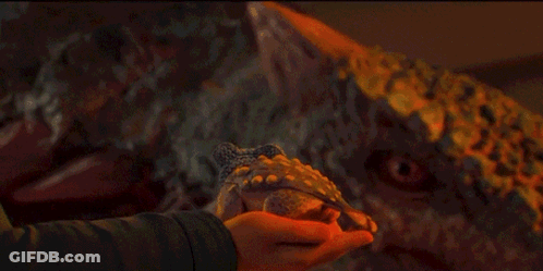 Close Up Of Glowing Orange Rock In Dark GIF