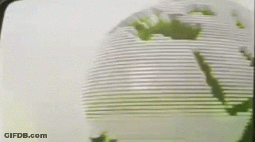 Close Up Of Green And White Globe GIF