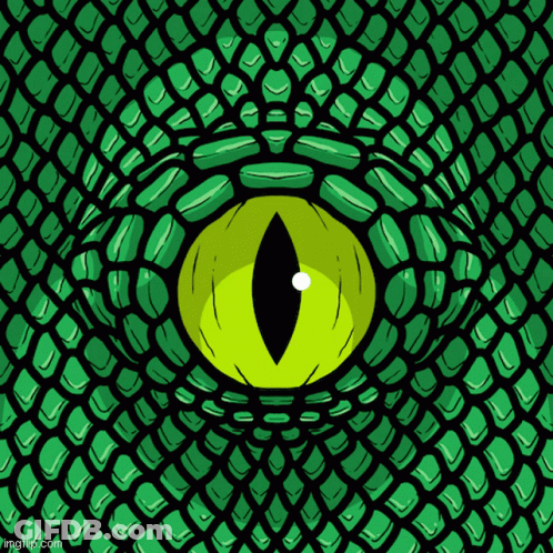 Close Up Of Green Snake Eye On Black Background GIF