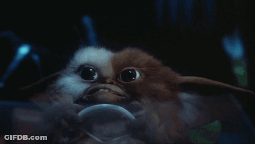 Close Up Of Gremlin With Light GIF
