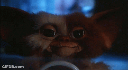 Close Up Of Gremlins Gizmo GIF
