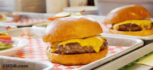 Close Up Of Hamburger On Tray GIF