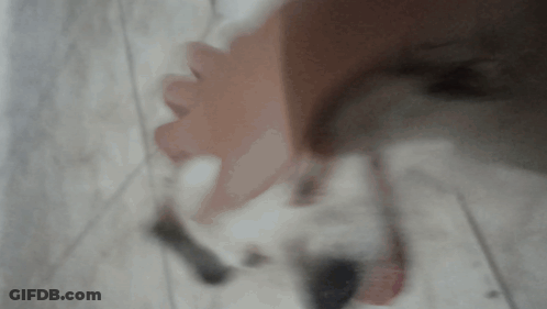 Close-Up Of Hand Holding White Object GIF