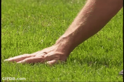 Close Up Of Hand On Grass GIF