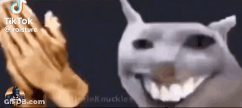 Close Up Of Hands And Smiling Dog Face GIF