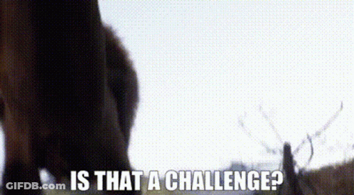 Close Up Of Horse Legs With Words Is That A Challenge GIF