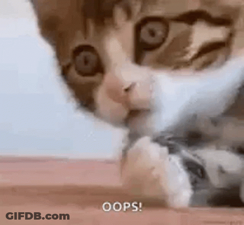 Close Up Of Kitten Laying On Table With Paw On Floor GIF