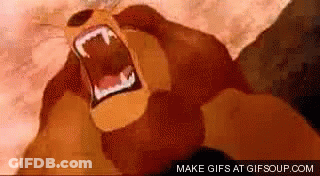 Close Up Of Lion With Mouth Open GIF