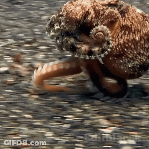 Close Up Of Man's Eyes With Shadow On Forehead GIF