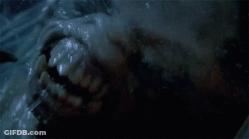 Close Up Of Man's Face GIF