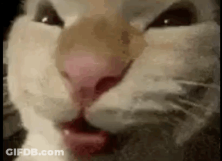 Close Up Of Man's Face Eyes Without Face GIF