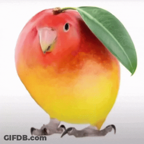 Close Up Of Man's Face On Phone Screen GIF