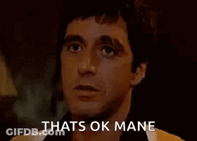Close Up Of Man's Face Thats Ok Mane GIF