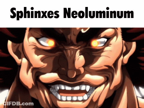 Close Up Of Man With Sphinxes Neoluminium GIF