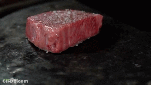 Close Up Of Meat On Black Plate Questfoods GIF
