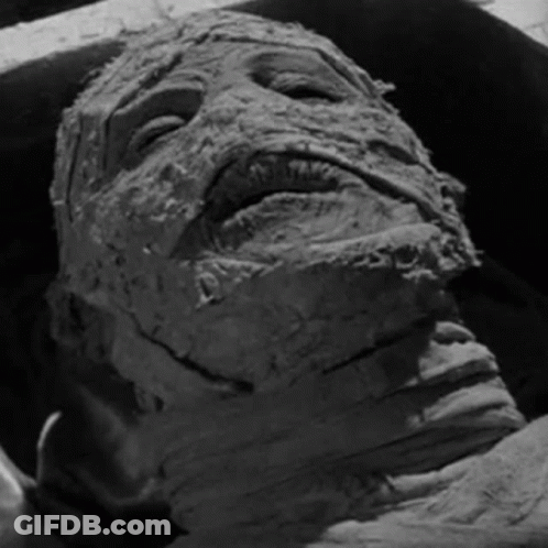 Close Up Of Mummy's Bandaged Face GIF
